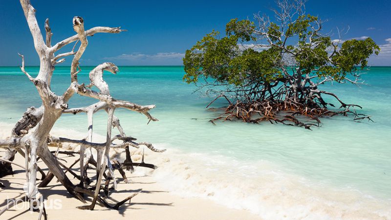 Excursión Cayo Levisa