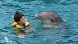 Baños con delfines