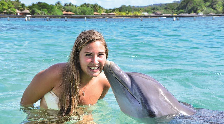 Baño con Delfines 3