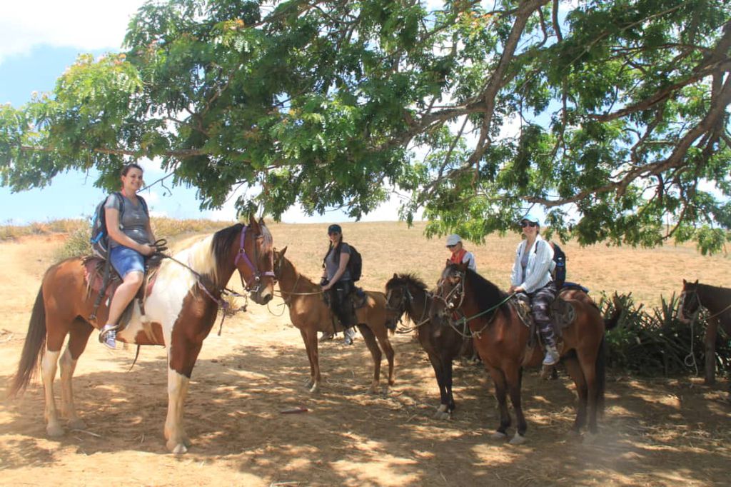 Recorrido a Caballo en Viñales