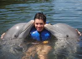 Baño con delfines